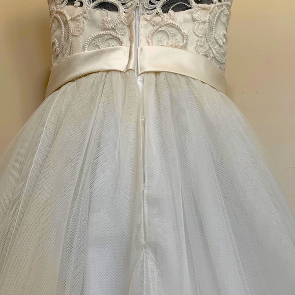 David’s Bridal Tulle Wedding Dress with Lace Illusion Neckline - Picture 12 of 14